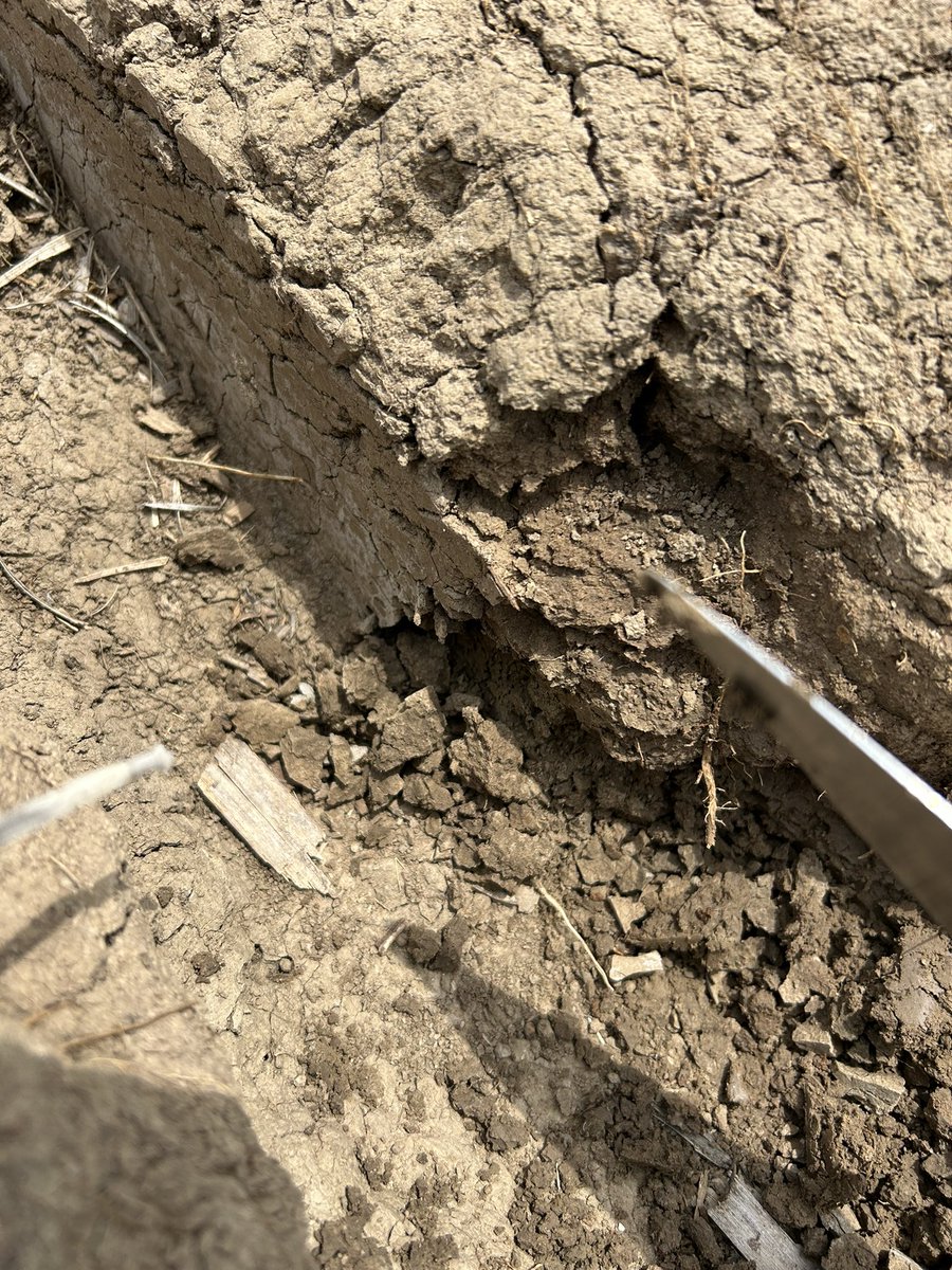 Unfortunate washing led to a interesting observation. Picture of anhydrous spring applied with a coulter machine. Soil is very hard and blocky where injected and mellow about 3” outside of the band.