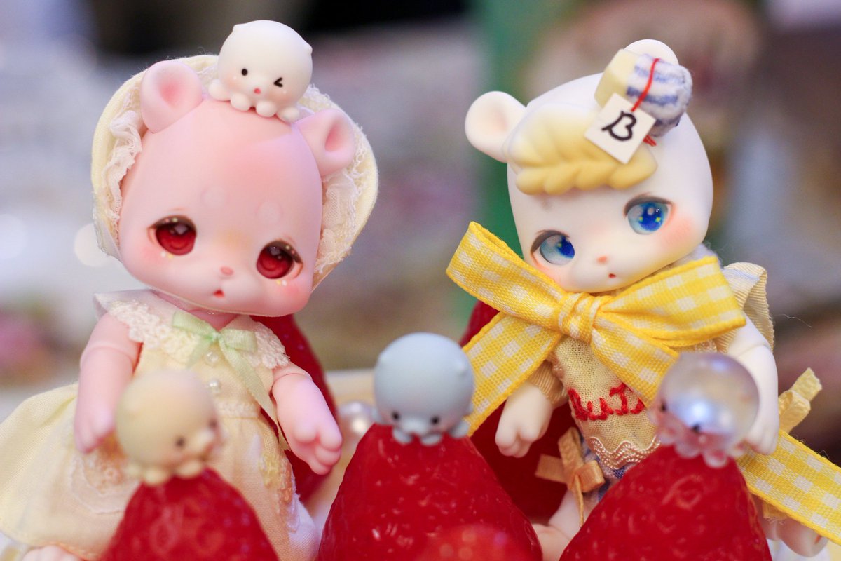 귀여움🩷+귀여움💛=왕귀여움🧸🐾

#kumukuku #버터크림