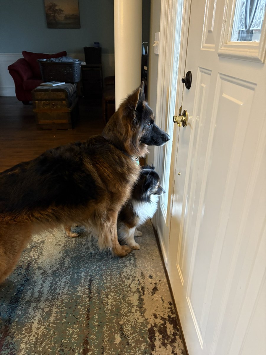 applebee mcfriday • ACAB tweet media