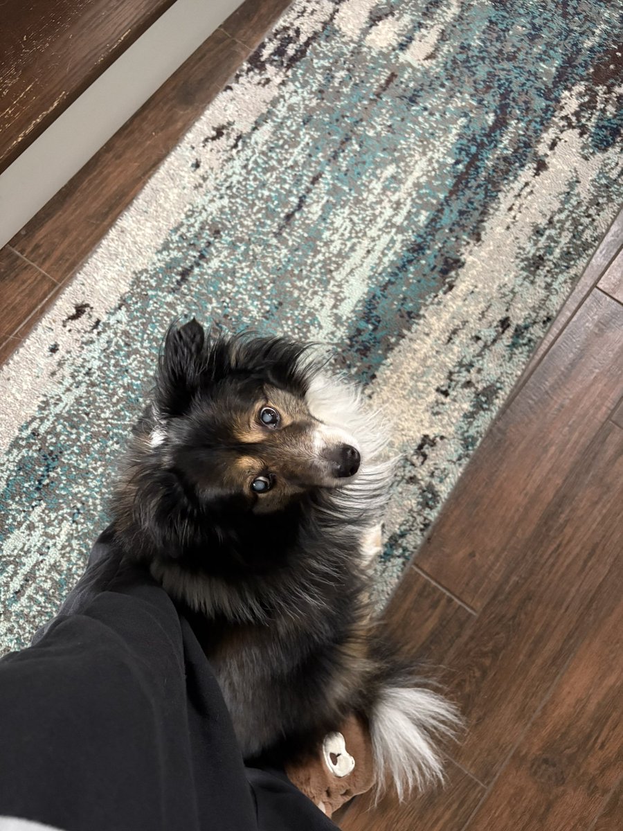 applebee mcfriday • ACAB tweet media