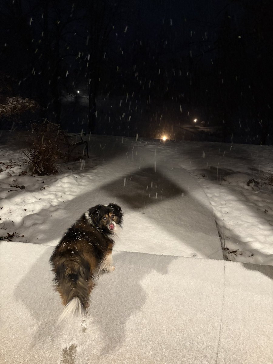 applebee mcfriday • ACAB tweet media