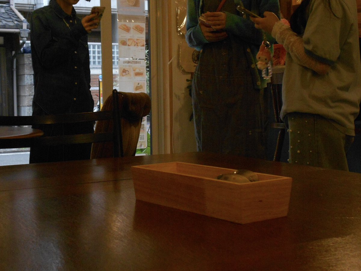 展示企画中〜★彡

京都カフェ × SHAKE ART!
二人展企画 no.4