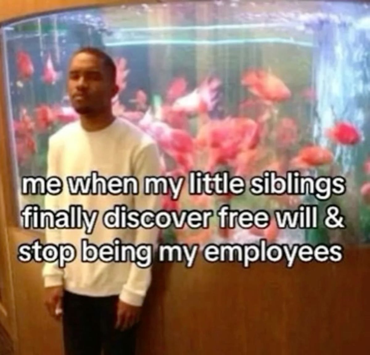 Wild TikToks (@wildtiktokss) on Twitter photo 