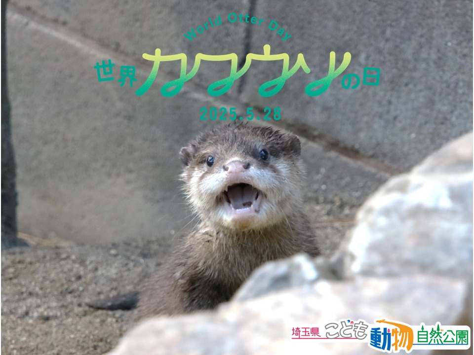 毎年5月の最終水曜日は、