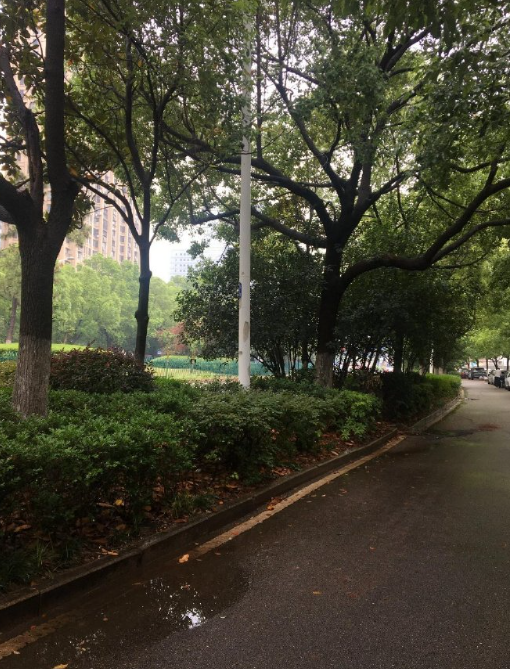 越深耕，越靠近幸运的微光 —— 别在空想的迷雾里徘徊，每一个不曾起舞的日子，都是对命运馈赠的辜负。 #LibertyCatNFT