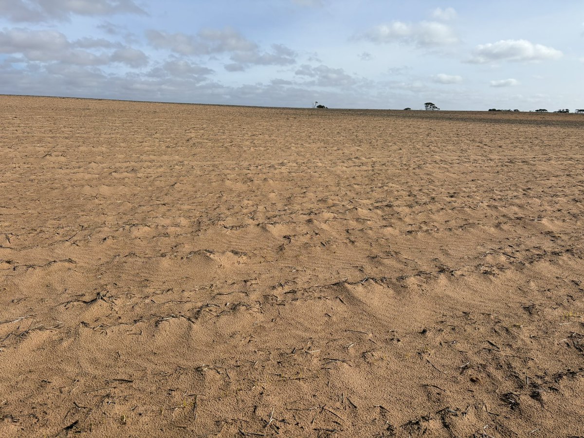 Matt Witney tweet media