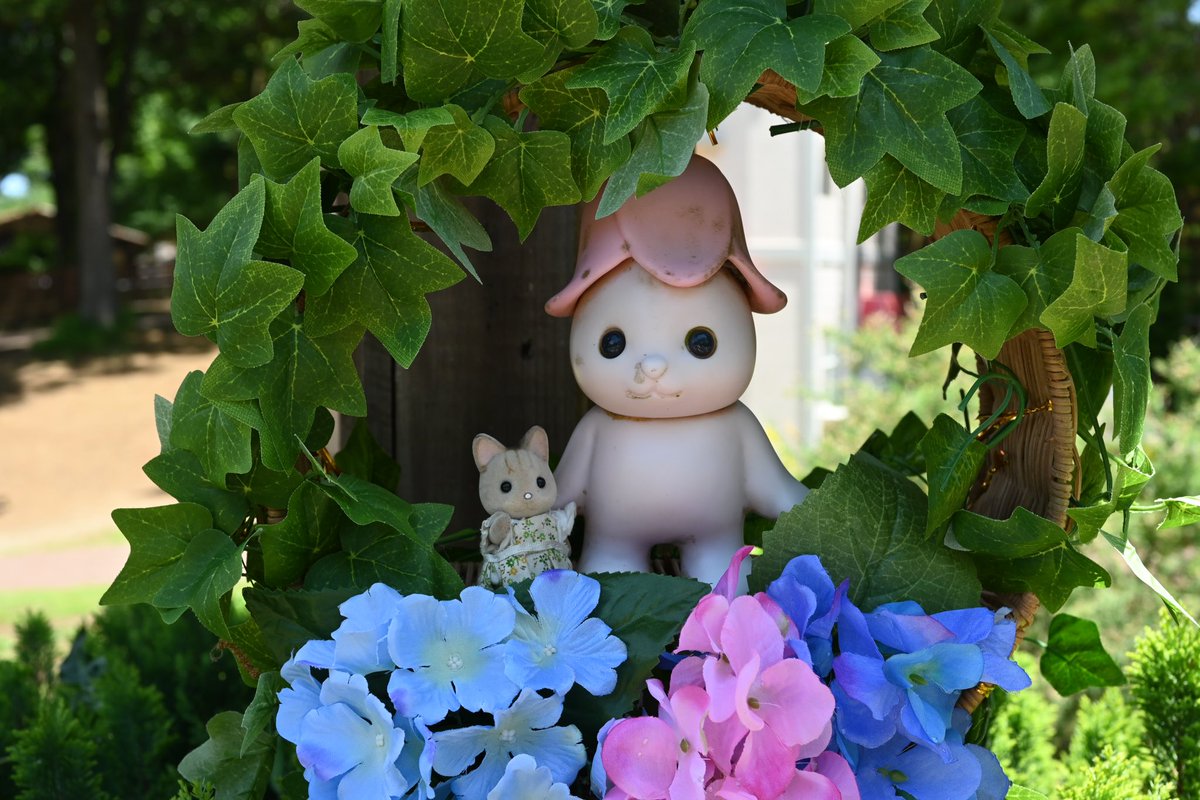 nanoplus18's tweet photo. (エレガントシマネコちゃんに会いに)
シルバニアパークスペシャルフェスタに来ました！✨
スペシャルフェスタは初参加🙌
シマネコちゃんとハスキーちゃんに2回会えたので大満足です😭💕
#シルバニアファミリー #シルバニアパーク #イバライド #ソロシル活 https://t.co/nxeGUmtWYN