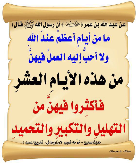 هادي ابو سعود ☆ tweet media
