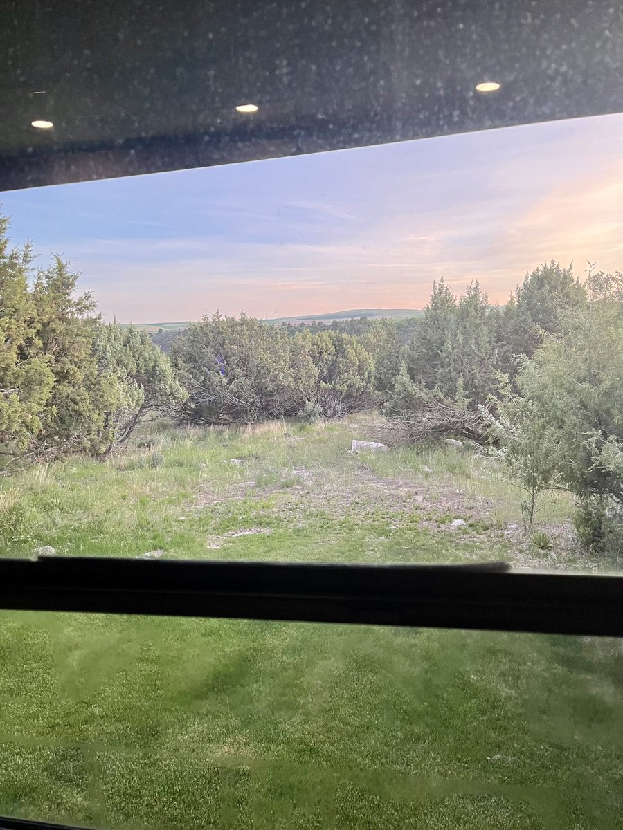 Doot, doot, doo, lookin' out my back door!🎶