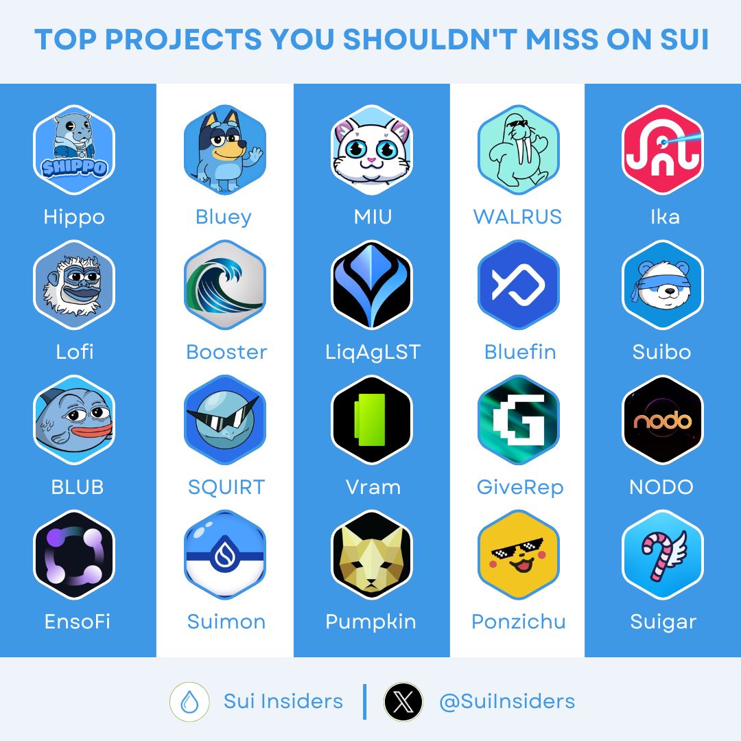 TOP PROJECTS YOU SHOULDN'T MISS ON SUI 🔥

Sui is quickly rising as one of this year’s top blockchains, powered by standout projects. If you’re in the $SUI  ecosystem, don’t miss these hidden gems shaping its future 😍

Like and RT to support us 🙏

#Sui #SuiNetwork