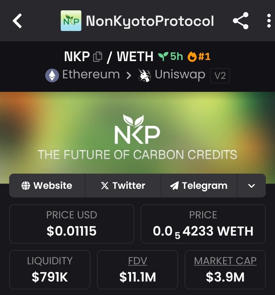 IDO Launchpad Tracker tweet media