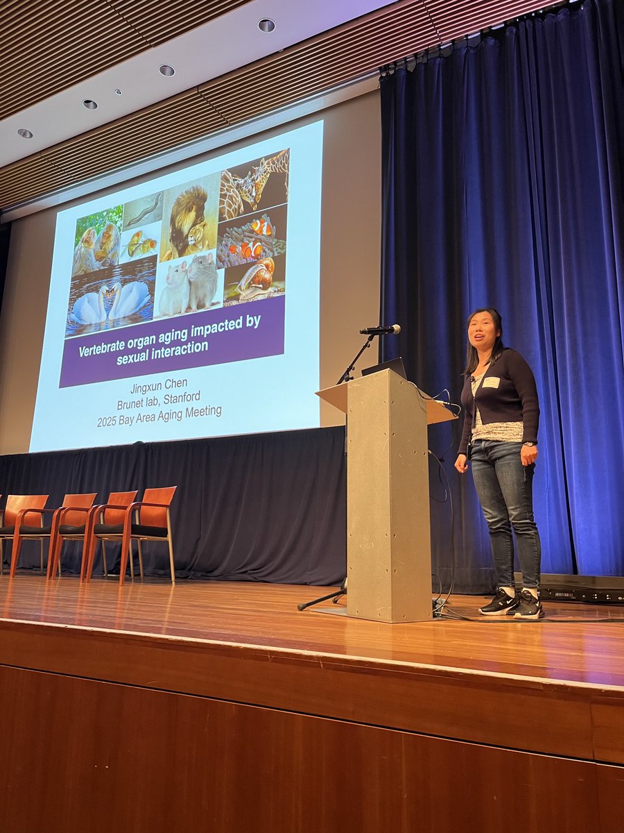Long Lab (@longlabstanford) on Twitter photo Great series of talks today at the Bay Area Aging Meeting, including this one from Jing Chen <a href="/BrunetLab/">Brunet Lab</a>. Thx <a href="/UCSF/">UC San Francisco</a> for hosting this year!! Great series of talks today at the Bay Area Aging Meeting, including this one from Jing Chen <a href="/BrunetLab/">Brunet Lab</a>. Thx <a href="/UCSF/">UC San Francisco</a> for hosting this year!!