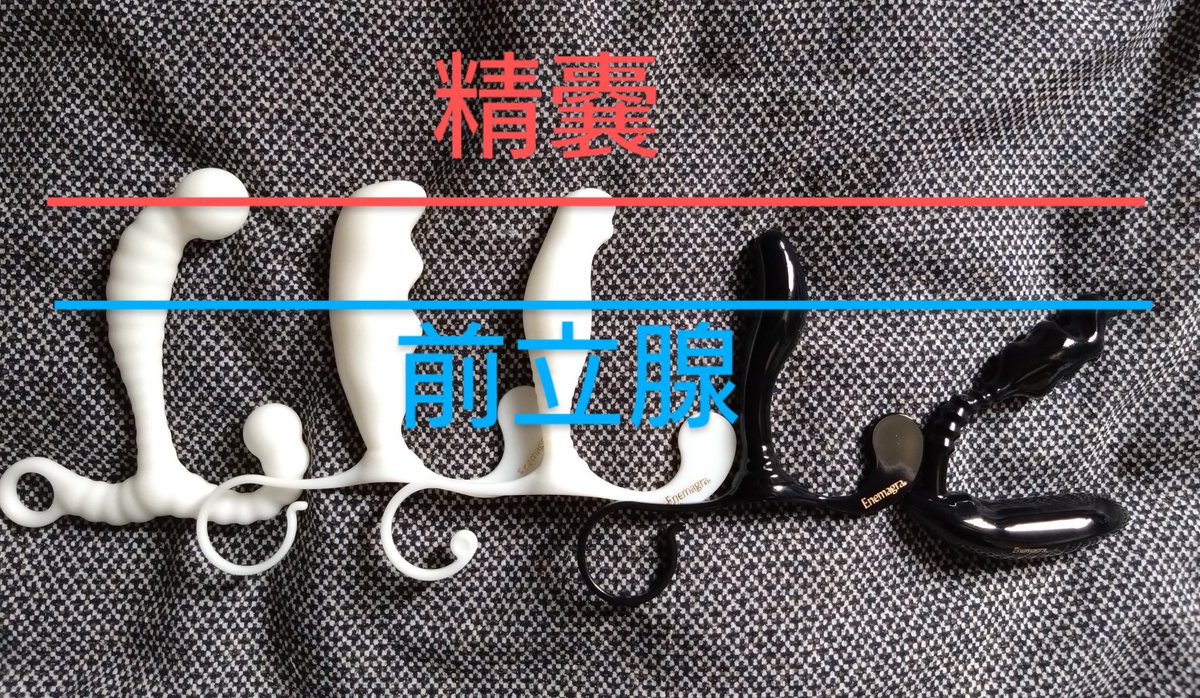 sena_mesuorga's tweet photo. 前立腺？それとも精嚢？
エネマグラの選び方。

どれがいいの？いっぱい種類があってわからない！って時に活用してほしい！

位置的にはこんな感じ！

エネマグラの同じ高さで合わせると並べてみると…精嚢と前立腺ピッタリ！

そうなるとやっぱり
SVとバンブーの角度って凄そうってなるよね！😃 https://t.co/jHBg1ldLkS