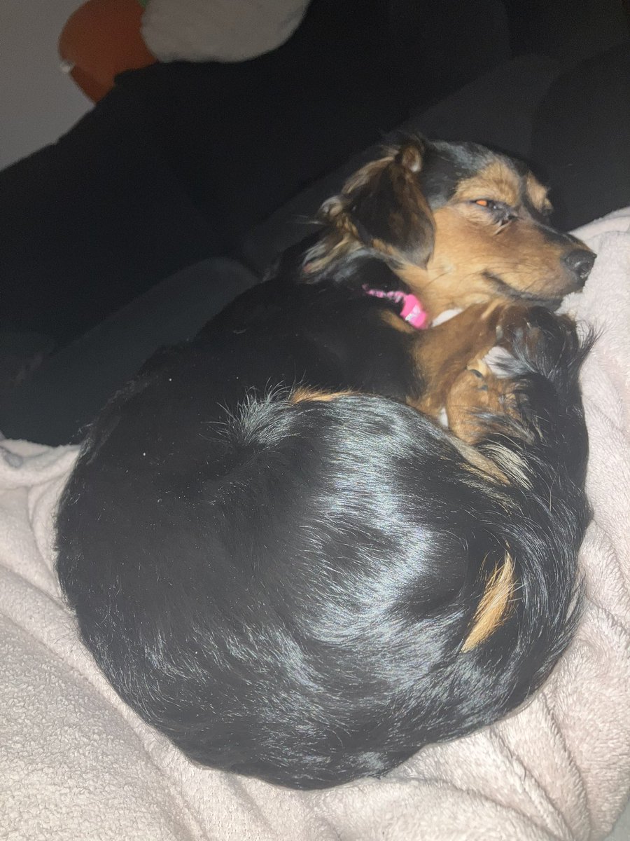 Queen Salem (@salemthestar2k) on Twitter photo Life update.
Left a unhappy household aka my dads house and now currently living with my mom while saving up.
It’s hard to imagine that I’m going through this again and all the blame goes to my dad.
It’s hard to know I’m just not the right person to my dad. Life update.
Left a unhappy household aka my dads house and now currently living with my mom while saving up.
It’s hard to imagine that I’m going through this again and all the blame goes to my dad.
It’s hard to know I’m just not the right person to my dad.