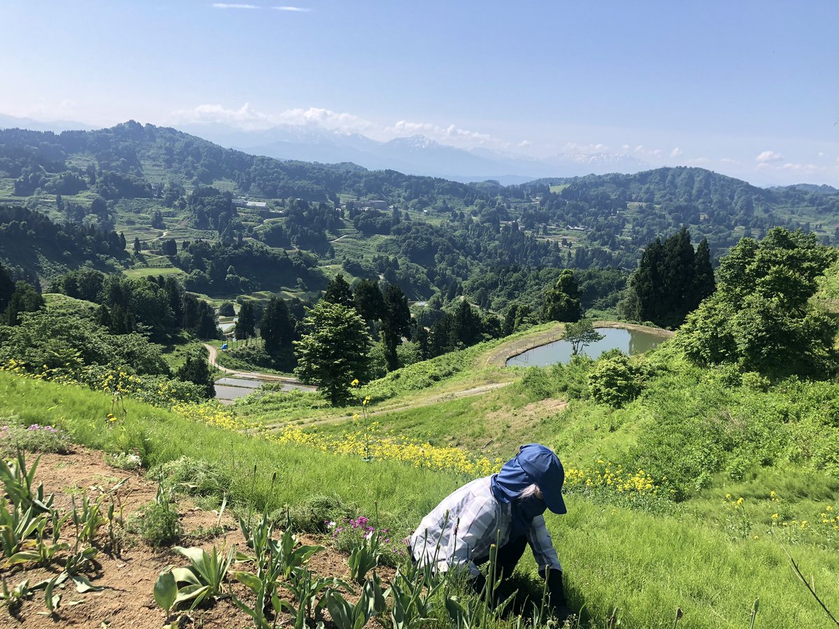 山古志の景観を良くしたいという思いから震災後に始めたお花畑。17年経つ今日も夫婦お二人で支えてくれている。