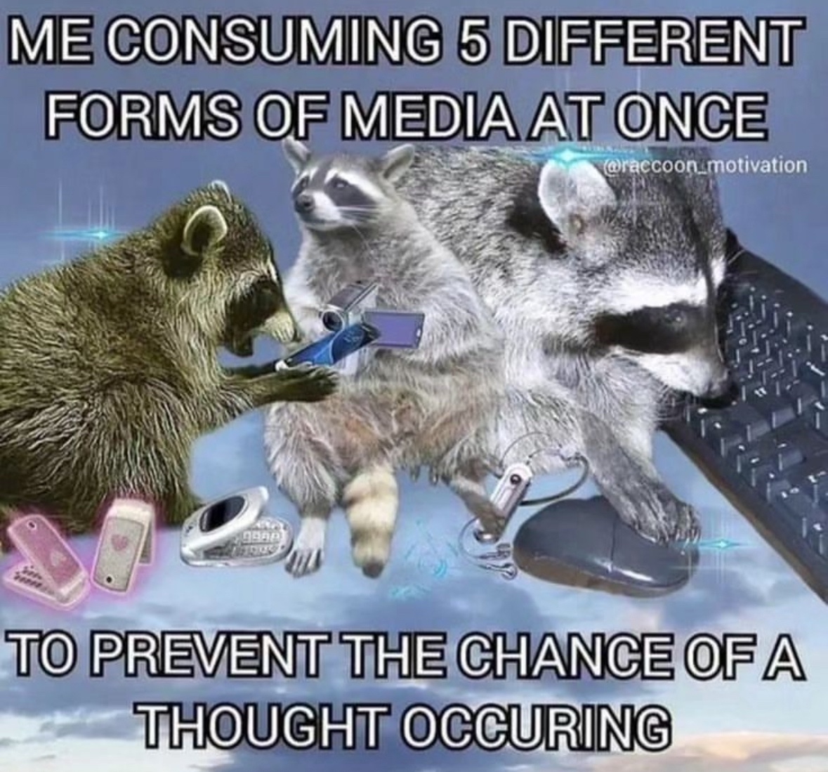 raccoonesthetic's tweet photo. https://t.co/VtaKG3HBTb