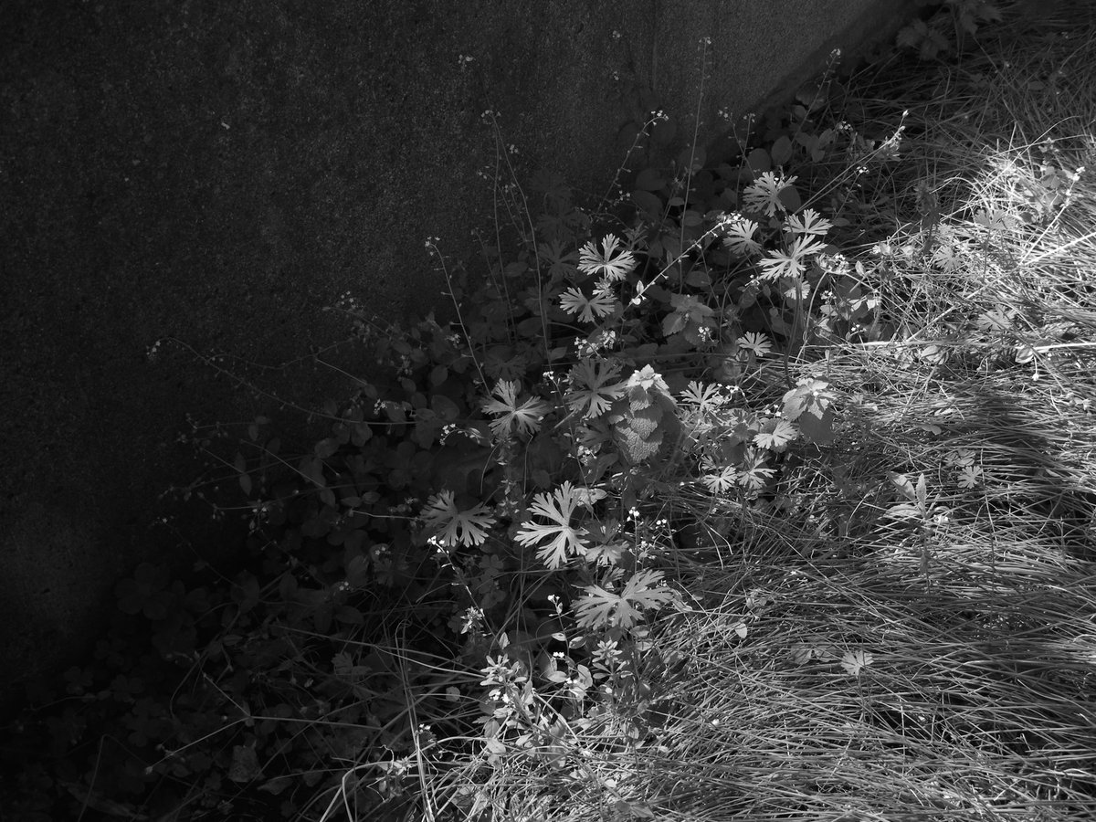 どんな時でもどんな状況でも判断を見誤らないように。平常心を保てる強さを