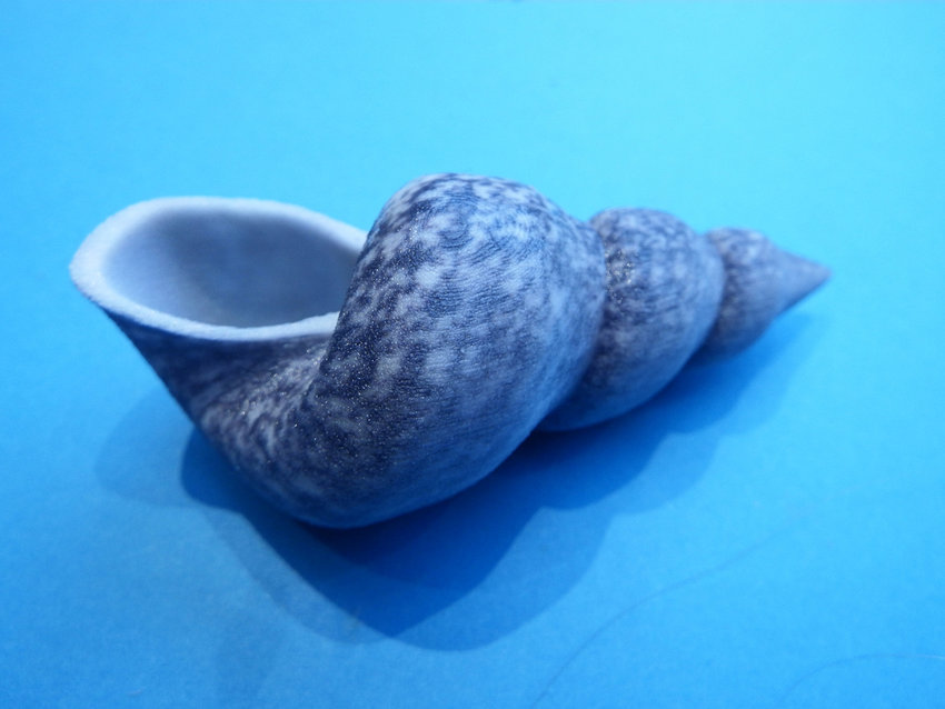 AdvSems's tweet photo. Synthetic materials mimic seashells to enhance energy absorption
Access details at: https://t.co/368qNz3F46
Learn all about smart materials with us at.. https://t.co/9cPUYiHXqM
#Synthetic #materials #energy #Absorption https://t.co/slnnmd2ZyI