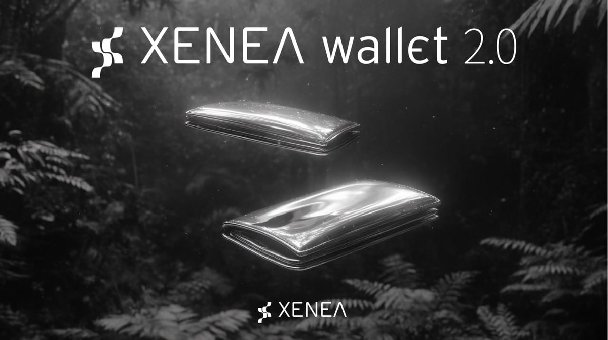 Xenea tweet media
