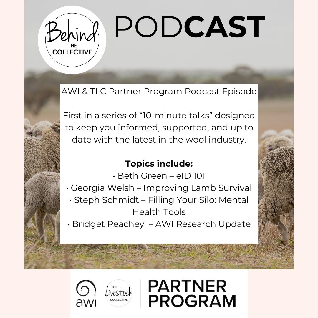 🎧 Missed our webinar? It’s now a podcast—perfect for your next drive!

Featuring:
✅ eID 101 w/ Beth Green
🐑 Lamb survival w/ Georgia Welsh
🧠 Mental health tools w/ Steph Schmidt
🔬 AWI research update w/ Bridget Peachy

Listen now 🎙️ loom.ly/BeS_zvM