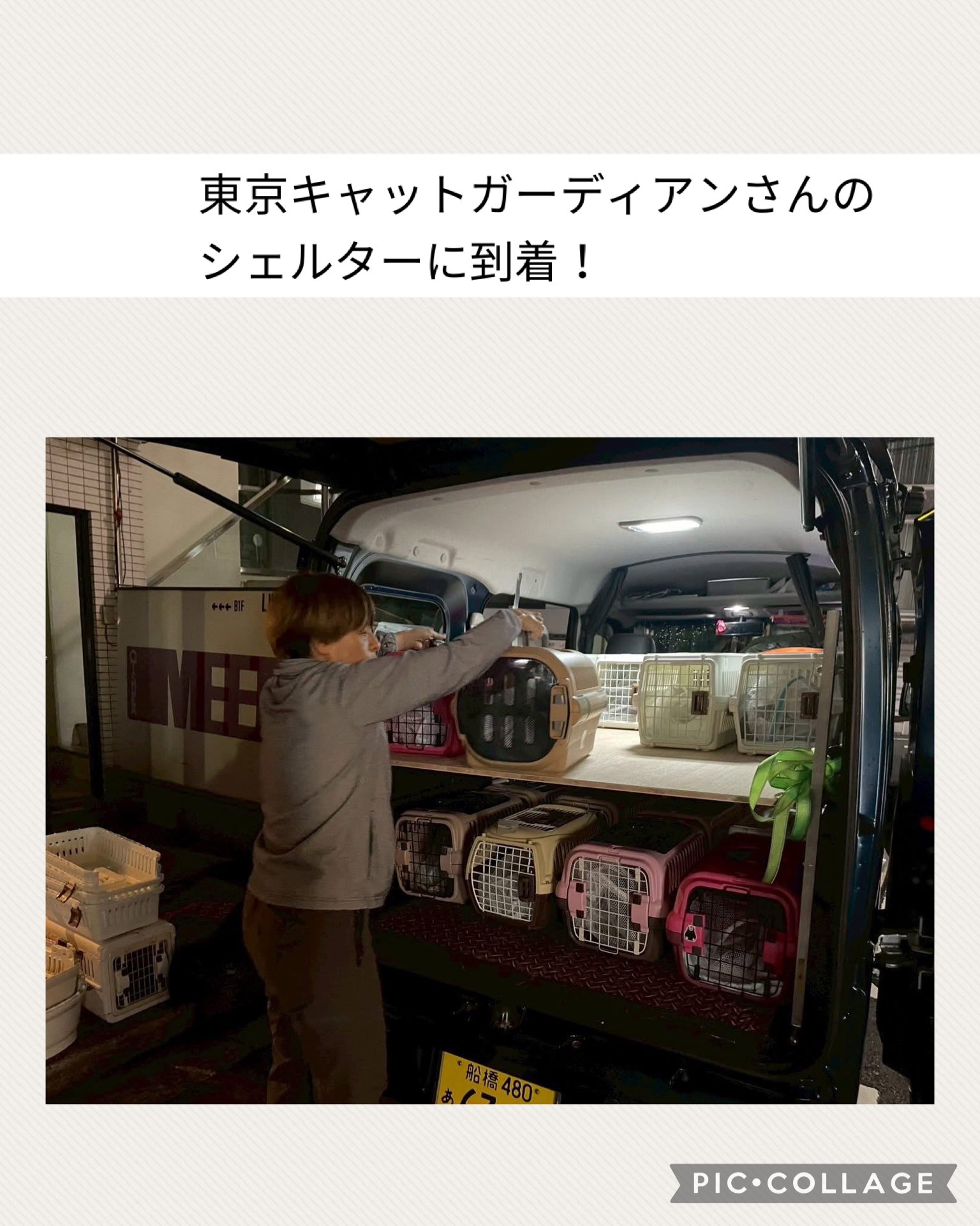 一般社団法人動物レスキューチームうーにゃん (@teamu_nyan) / X