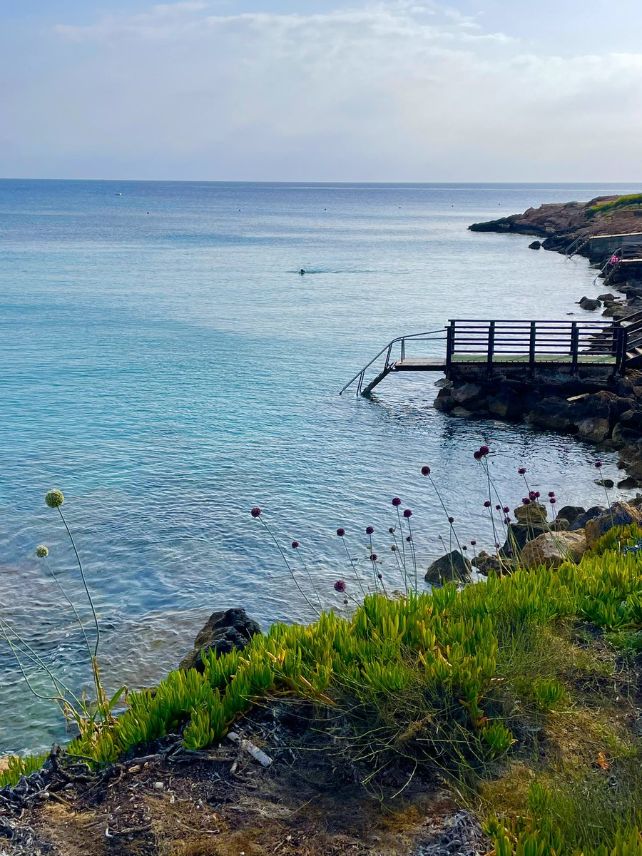 Alice Carter tweet media