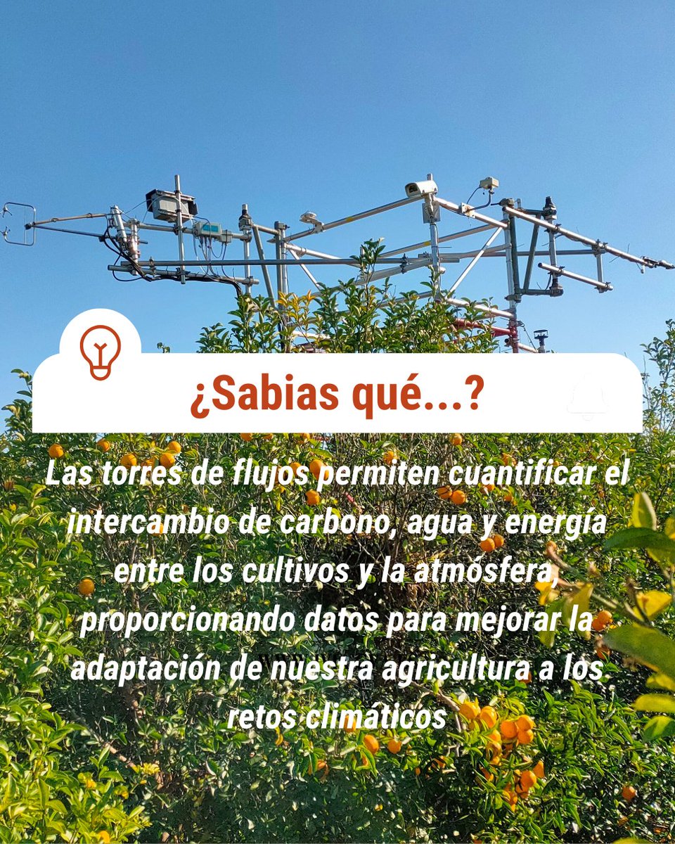 💦☀️Medición precisa de intercambios entre cultivo y atmósfera para una agricultura eficiente 🌱

👨‍🔬 "Desde el <a href="/GVAivia/">IVIA</a> y en colaboración con el <a href="/CeamFundacion/">Fundación CEAM</a> promovemos herramientas científicas para una agricultura más eficiente e inteligente"
Domingo Iglesias (Centro Genómica)
