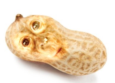 peanutprimate's tweet photo. #promotwt https://t.co/nU72F45r4c