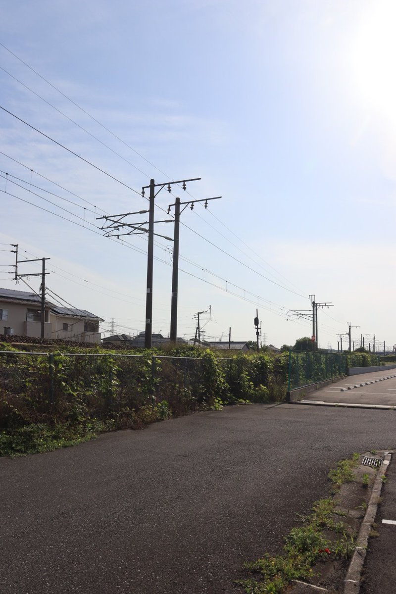 jikko680687's tweet photo. 【今日の885系】2025/5/28(Wed)
3012M特急ソニック12号 佐伯6:58発 博多行き(博多10:27着)
885系 SM5編成(本ミフ)
PIKMIN×JR九州~魅惑の惑星キュウシュウを探索せよ~プロジェクト ラッピング車両
#885系 #SM5 #南福岡車両区 #PIKMIN #ラッピング車 #特急 #ソニック #日豊本線 #大在駅 #坂ノ市駅 https://t.co/4B5rwha4Uu