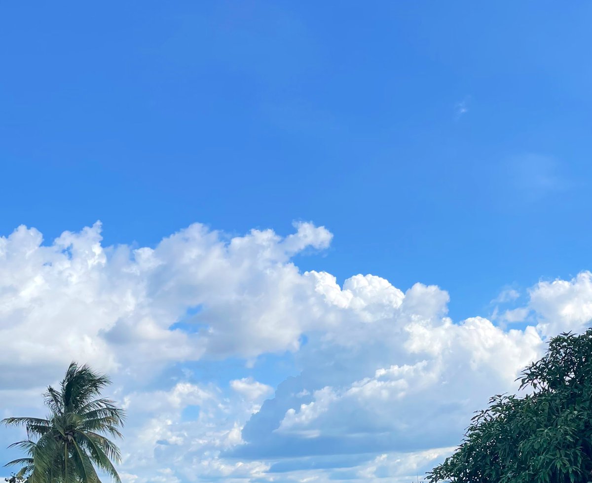 Have a great day naaa~🍀🌥️✨
#Skywithblue