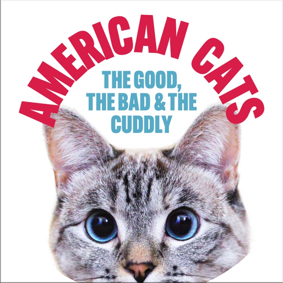 Joyce Kulhawik (@joycekulhawik) on Twitter photo Love Cats? Must see this FREE VIRTUAL SCREENING: "American Cats" & discover the dark side of a common procedure that's hurting your feline friends. THIS MUST STOP! joyceschoices.com/free-screening⦠<a href="/bofca/">BOFCA</a> <a href="/TheBSFC/">Boston Society of Film Critics</a> <a href="/Filmfish/">FILMFISH</a> <a href="/Flickwish/">Xell.Wish</a> <a href="/CultureShowGBH/">The Culture Show | GBH</a> <a href="/SimmonsLeads/">Institute for Inclusive Leadership</a> #BA50 Love Cats? Must see this FREE VIRTUAL SCREENING: "American Cats" & discover the dark side of a common procedure that's hurting your feline friends. THIS MUST STOP! joyceschoices.com/free-screening⦠<a href="/bofca/">BOFCA</a> <a href="/TheBSFC/">Boston Society of Film Critics</a> <a href="/Filmfish/">FILMFISH</a> <a href="/Flickwish/">Xell.Wish</a> <a href="/CultureShowGBH/">The Culture Show | GBH</a> <a href="/SimmonsLeads/">Institute for Inclusive Leadership</a> #BA50