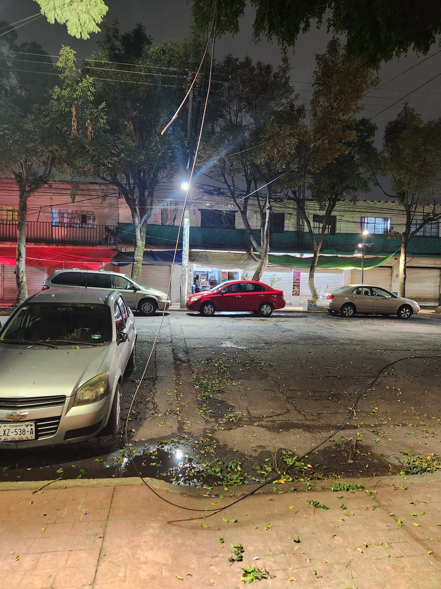 alepolite_'s tweet photo. Hola @AlcaldiaMHmx @mauriciotabe @SEDEMA_CDMX nos hicieron poda de árbol y tiraron los cables de luz, ¿Podrían ayudarnos? https://t.co/Pywv4CKrr3
