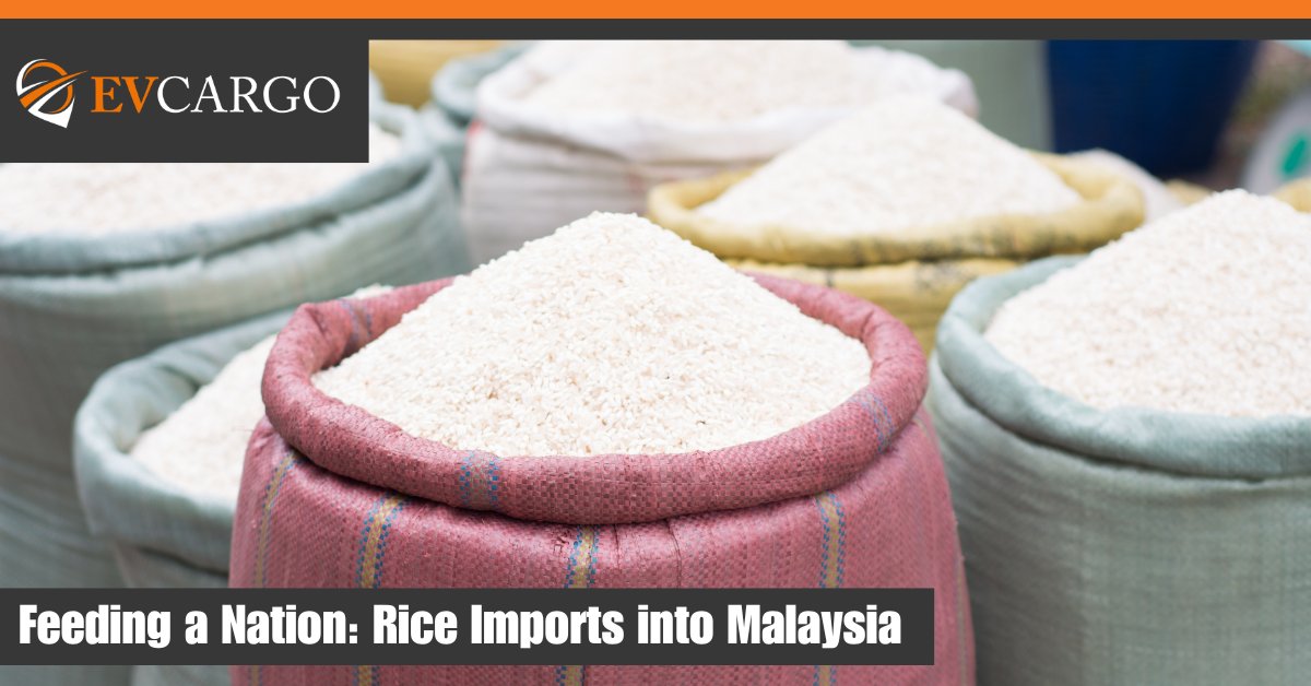 EV Cargo is proud to support the import of essential food commodities into Malaysia, helping to maintain a secure and stable rice supply for the nation. Discover our services: tinyurl.com/4m9b53sw #EVCargo #SupplyChain #OceanImport #MalaysiaLogistics #Malaysia #EmergeVest