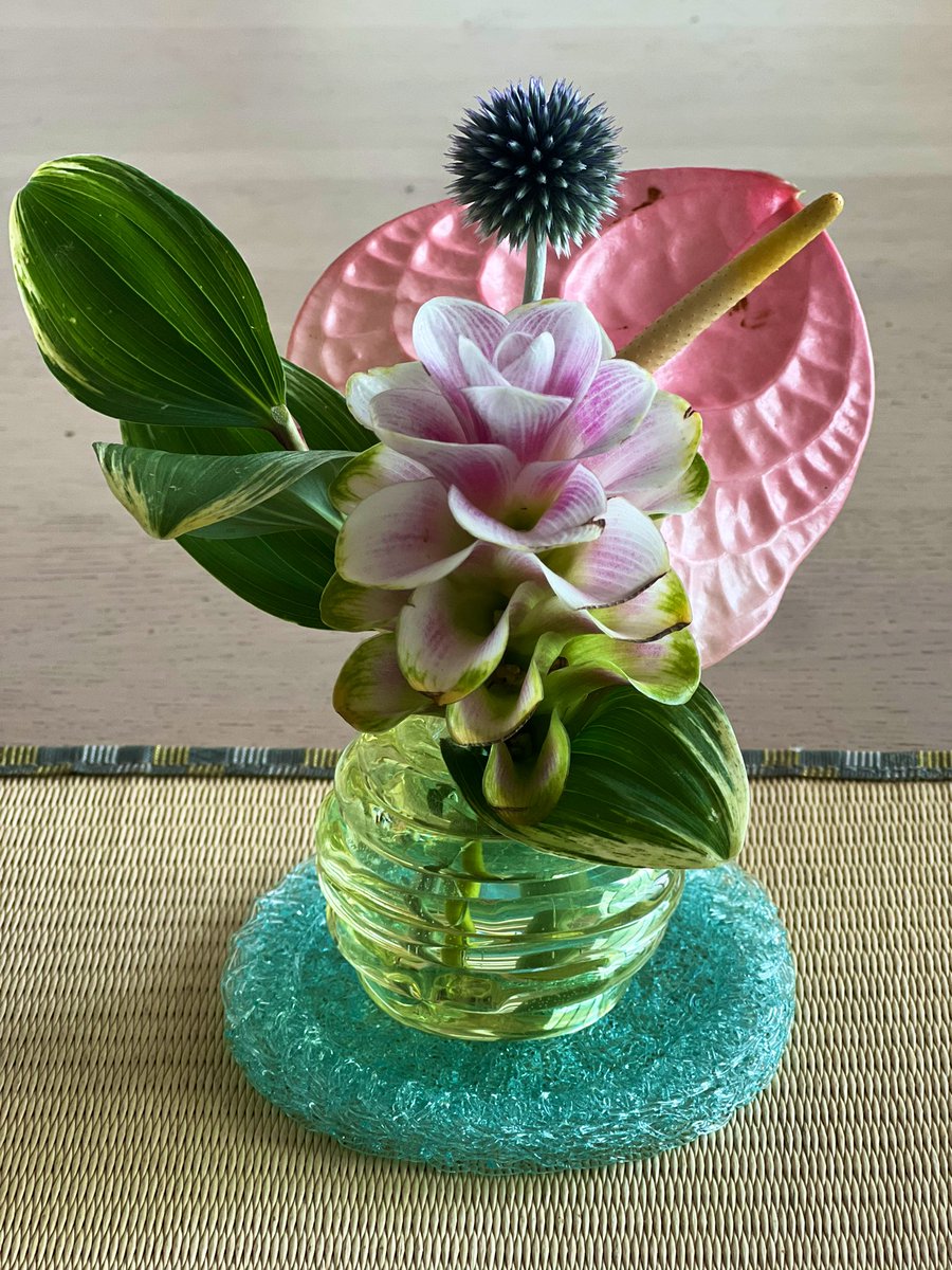 ゜▽゜)頂いた花を早速生けるミルコ #生花