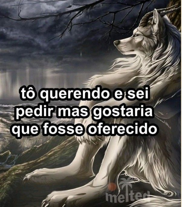 Terror do Cotidiano (@terrorcotidiano) on Twitter photo 