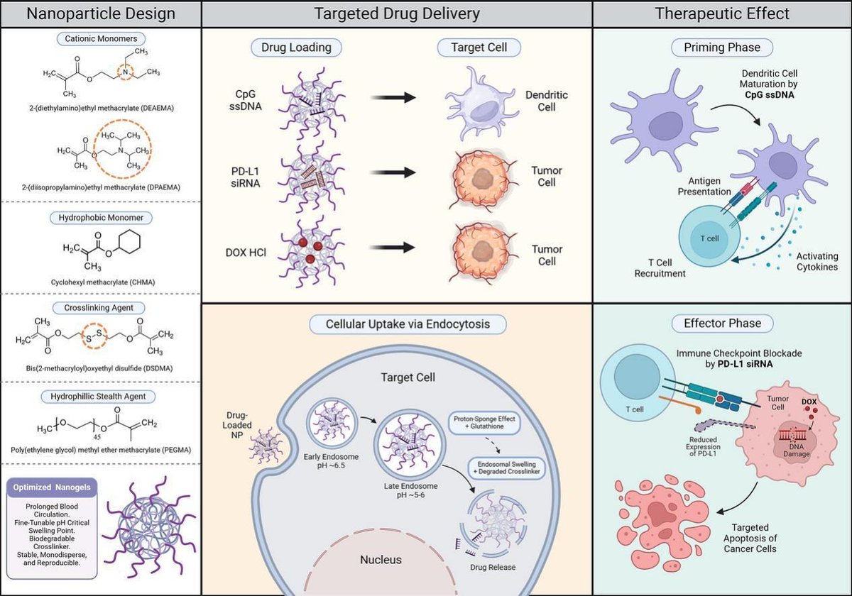 Nicholas A. Peppas (@npeppas) on Twitter photo New work published in JCR from <a href="/NPeppas/">Nicholas A. Peppas</a> lab. "Rational design of stimuli responsive nanoparticle systems for the controlled, intracellular delivery of immunotherapeutic and chemotherapeutic agents" D Huang, Ishaan Duggal, B Matthews, Elaine Lee, Eric Tong
sciencedirect.com/science/articl… New work published in JCR from <a href="/NPeppas/">Nicholas A. Peppas</a> lab. "Rational design of stimuli responsive nanoparticle systems for the controlled, intracellular delivery of immunotherapeutic and chemotherapeutic agents" D Huang, Ishaan Duggal, B Matthews, Elaine Lee, Eric Tong
sciencedirect.com/science/articl…
