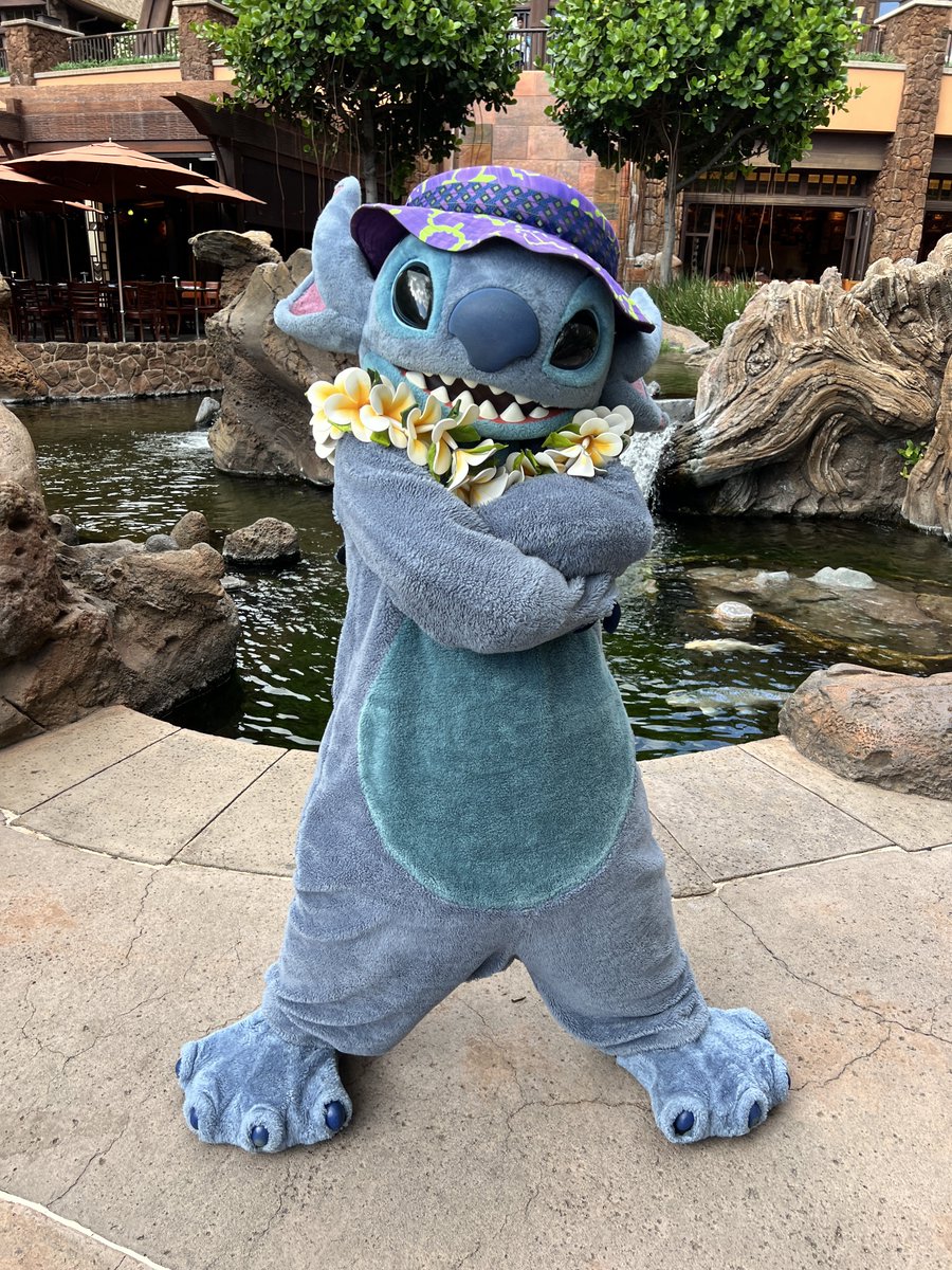 【超希少】AULANI ディズニー ブランケット　ラグ 超希少】AULANI ディズニー ブランケット ラグ 超希少】AULANI