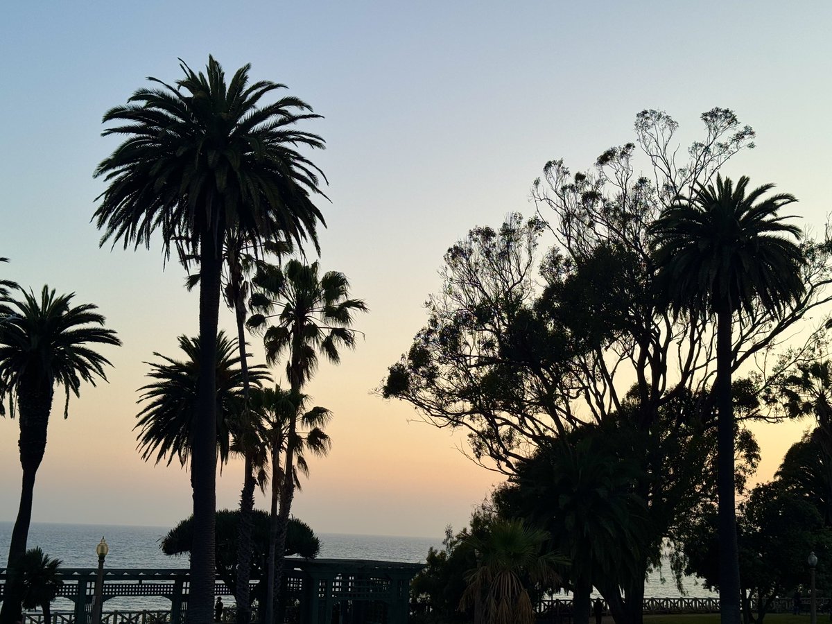 Here comes Wednesday!

#SantaMonica #California