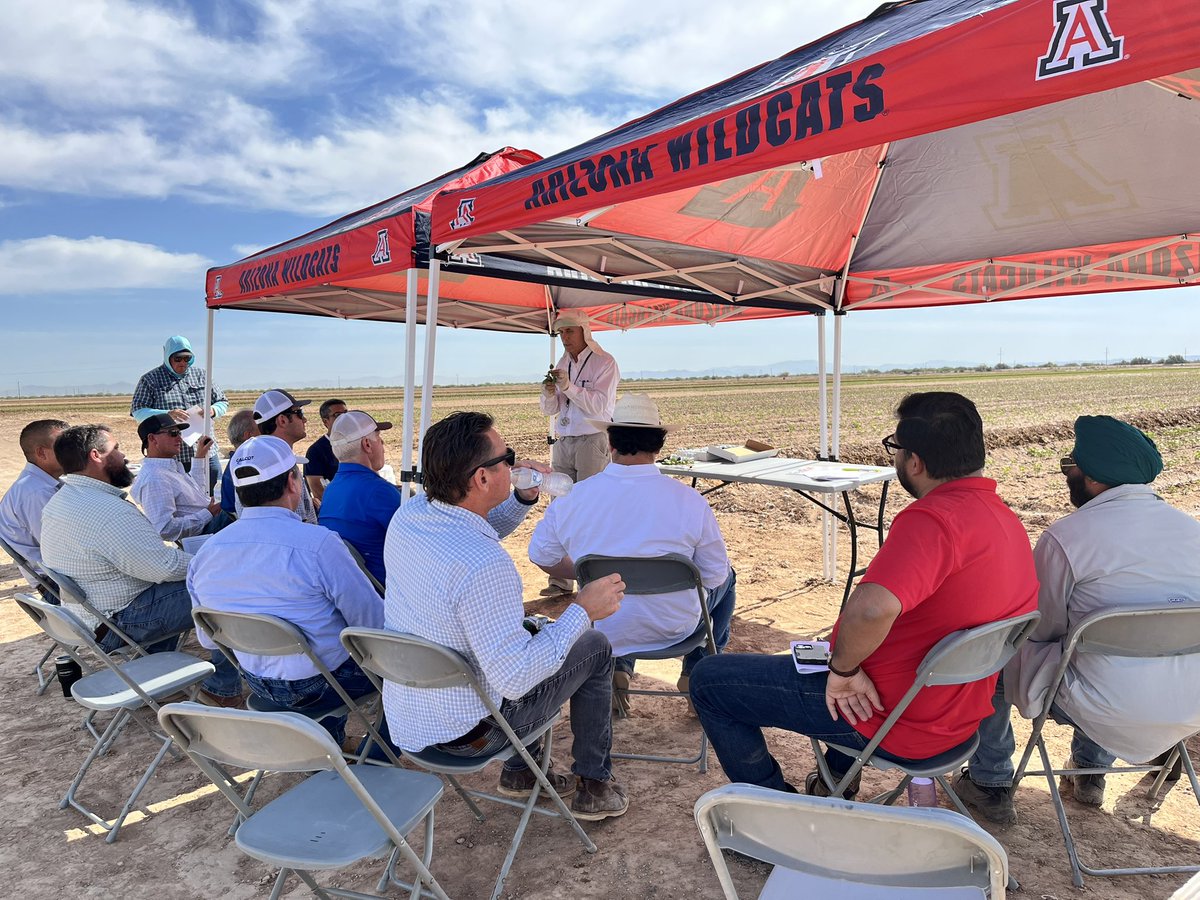 avikm90's tweet photo. Early-season Cotton Tent Talk in Eloy, Arizona
Topics of discussion: Agronomy, IPM, Weed Management, and Soil Health https://t.co/44ep3jekoG