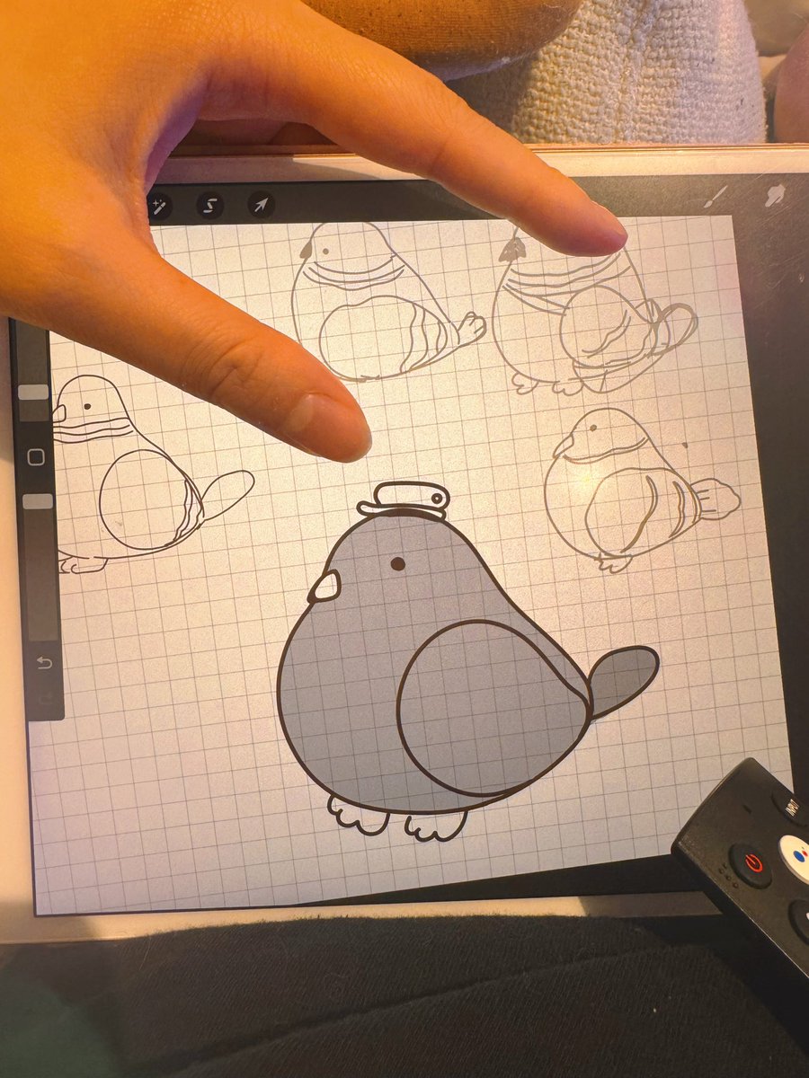 I spent the last 30 trying to perfect the shape of this pigeon