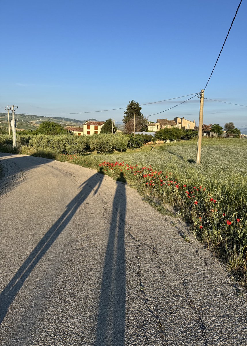 Ingrid Schouten🇮🇹🇳🇱 tweet media