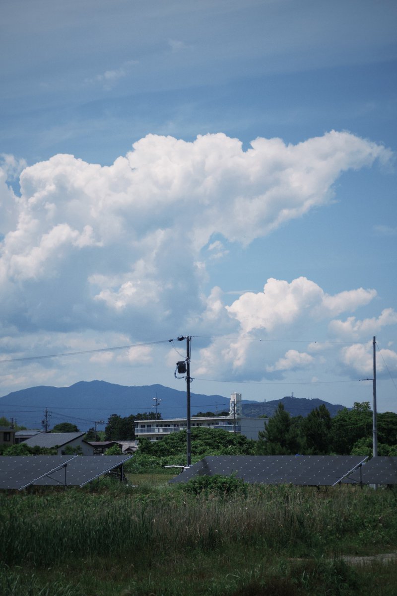 夏が始まった合図がした。