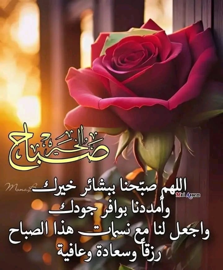 🌸أم محمد 🌸 tweet media