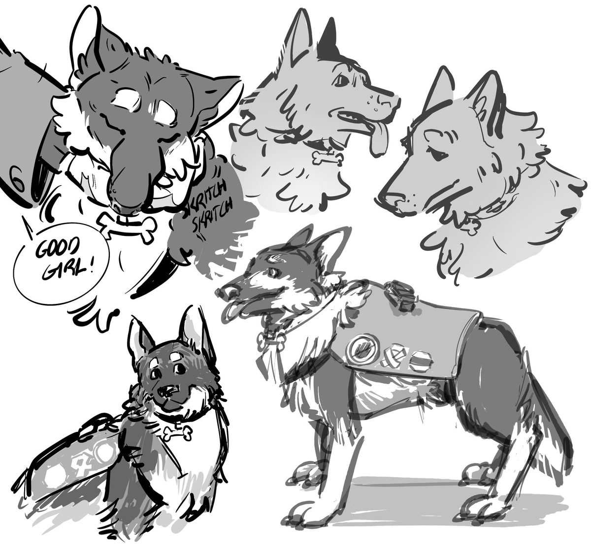 diacidic's tweet image. doodles of @/jesters-throne on tumblr&apos;s oc &amp;lt;3 this is nikola, ford&apos;s psychiatric service dog! she helps him manage symptoms of his PTSD in his daily life and is an all around good girl
