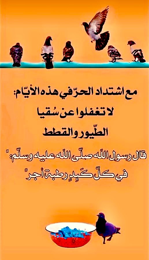 kalid9782's tweet photo. #خروووووووووج https://t.co/BcI9nB6GLD