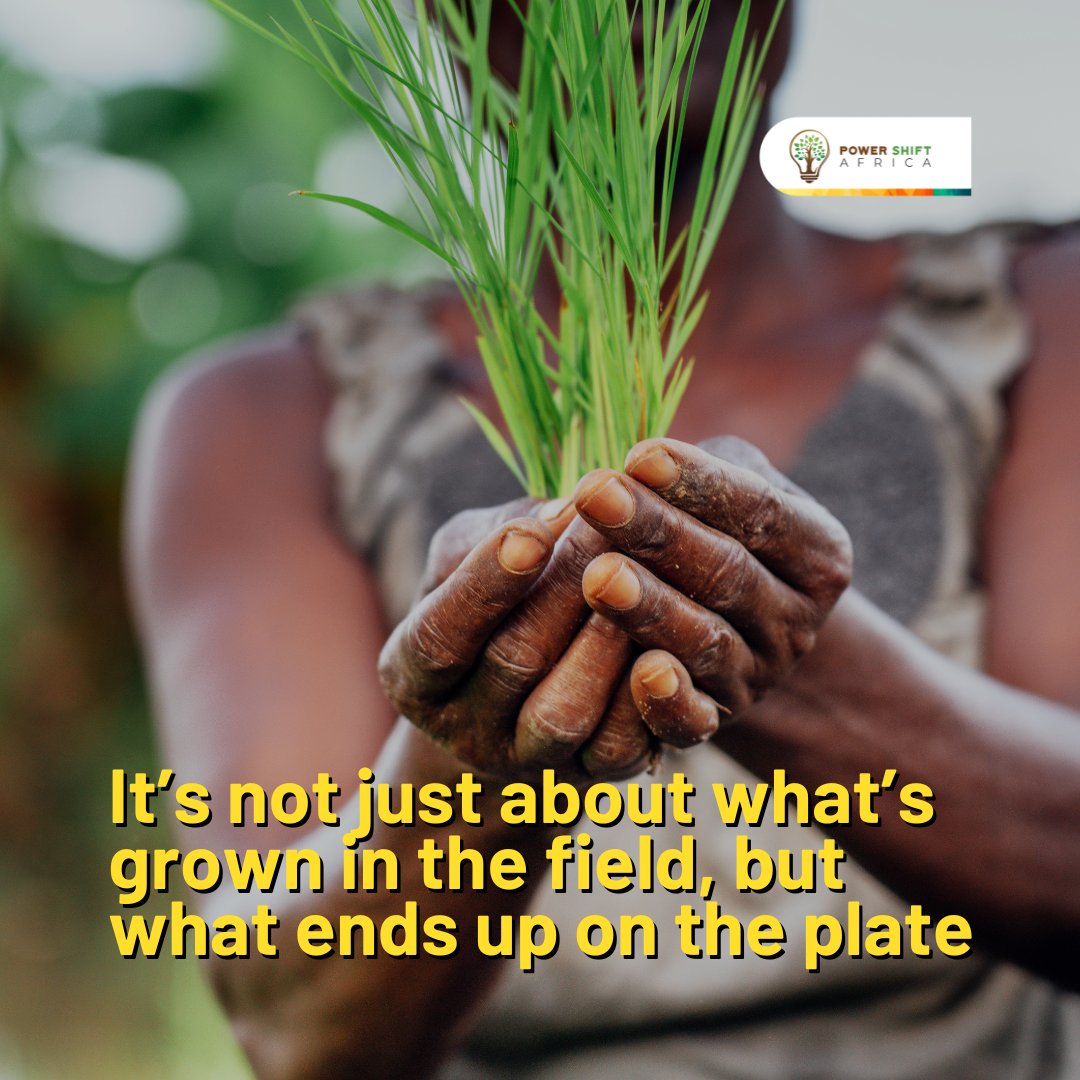 It’s not just about what’s grown in the field, but what ends up on the plate💡

A new data-driven initiative in Ahero, Kisumu County, Kenya highlights the potential of Integrated Multi-Trophic Aquaculture to enhance climate resilience, food security, and nutrition.