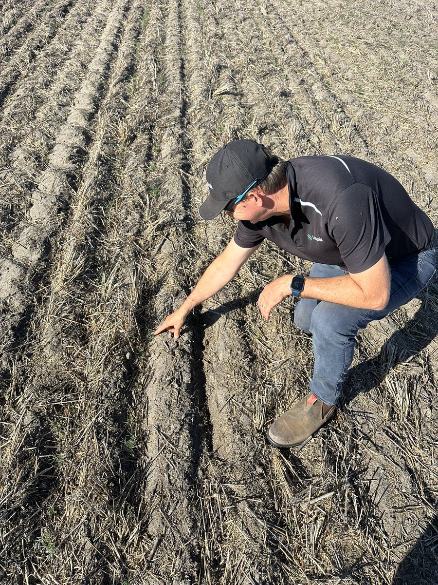 Laconik_Farm Trials tweet media
