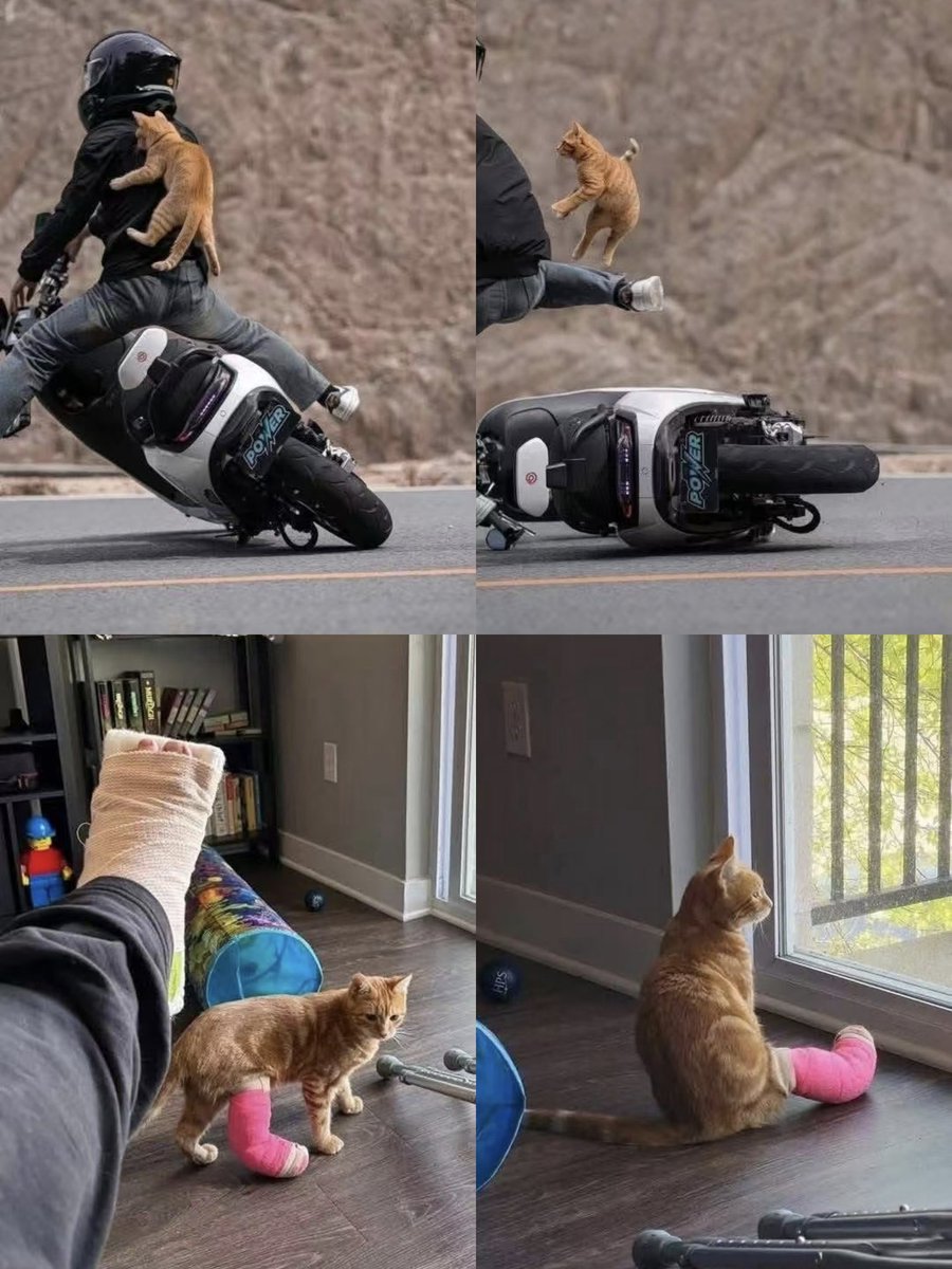 想找个摄影师记录一下美好的瞬间，但是又担心安全度不够。纠结。