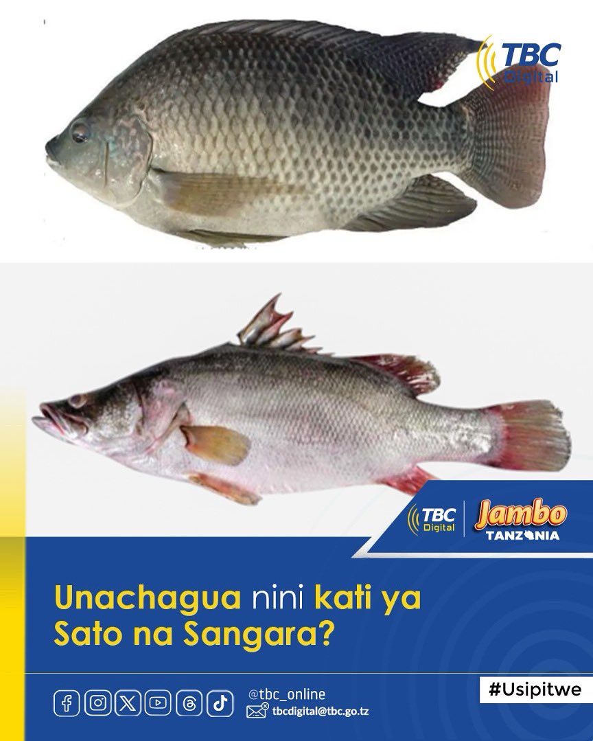 TBC DIGITAL (@tbconlinetz) on Twitter photo Maoni yako yatasomwa katika kipindi cha Jambo Tanzania
#JAMBOTANZANIA Maoni yako yatasomwa katika kipindi cha Jambo Tanzania
#JAMBOTANZANIA