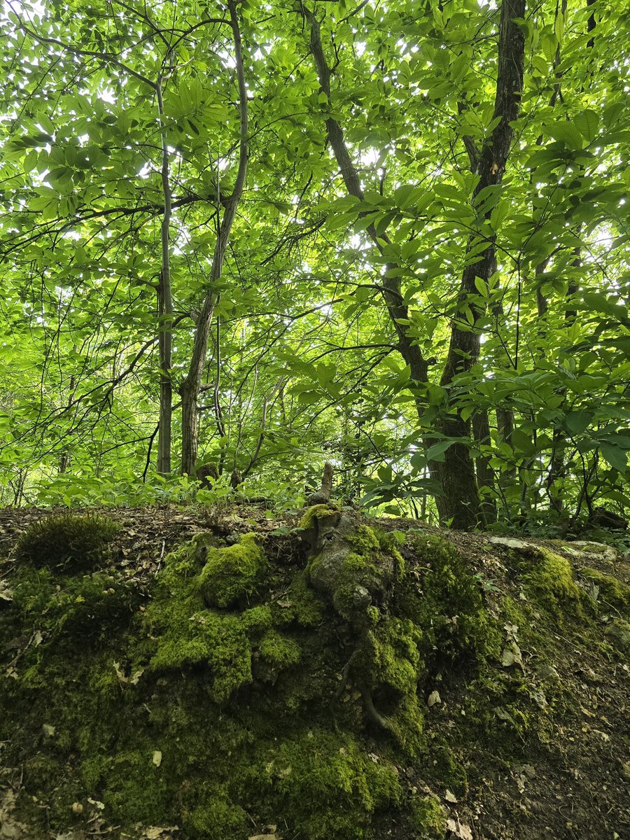 Bonjour, très belle journée